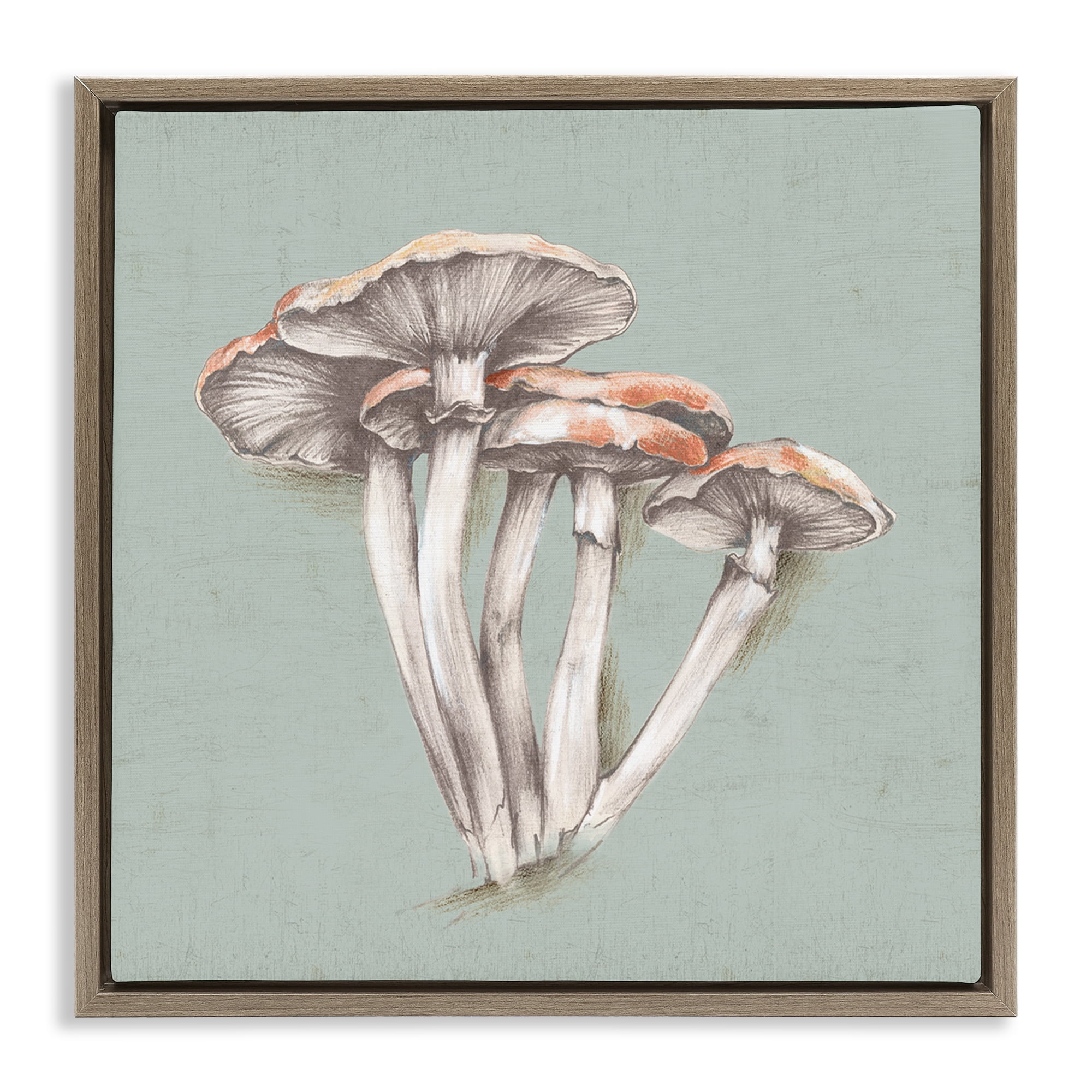 Stupell Industries Mushroom Bundle Drawing Plants & Flowers Painting Brown Floater Framed Canvas Art Print Wall Art, 18 x 18
