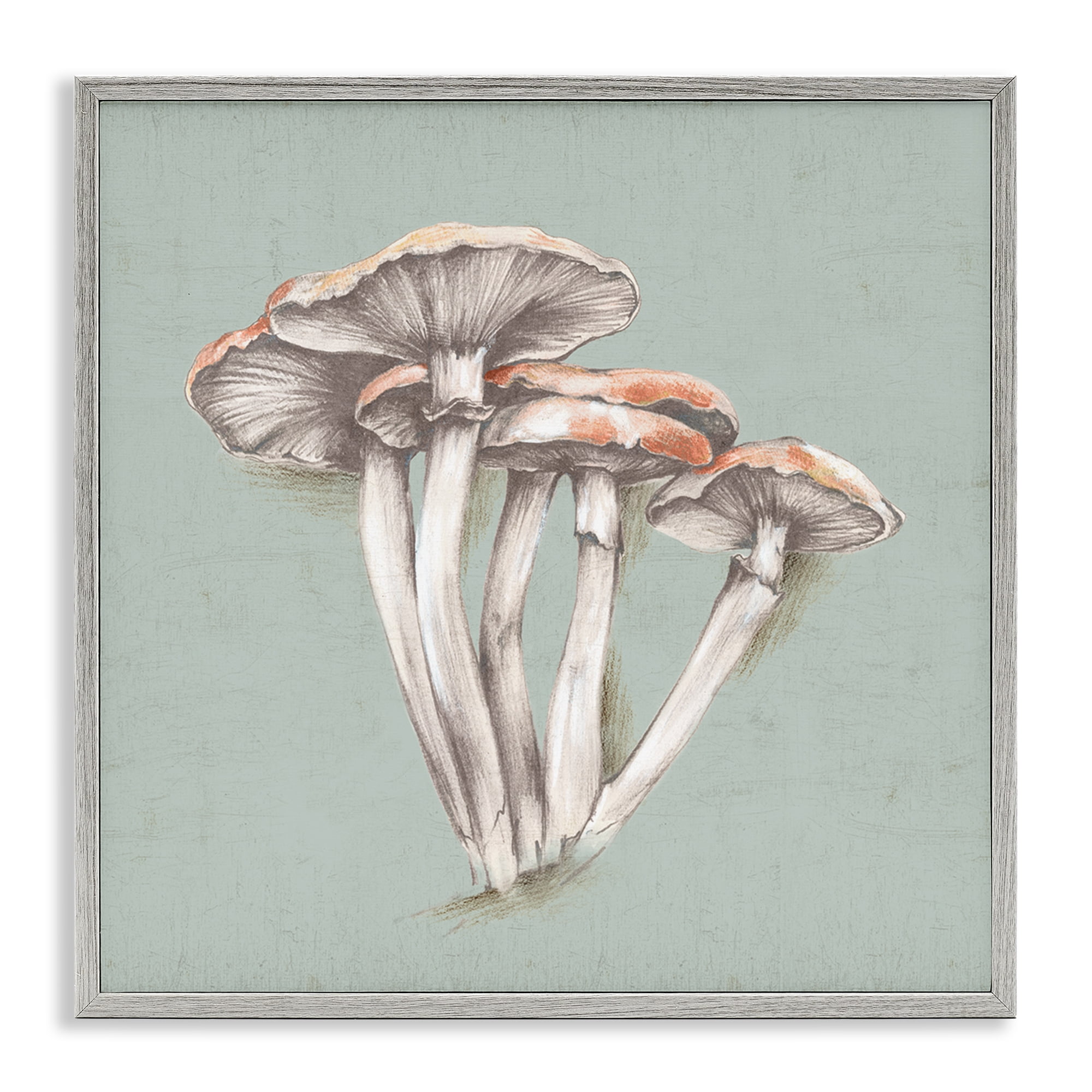 Stupell Industries Mushroom Bundle Drawing Plants & Flowers Painting Gray Framed Art Print Wall Art, 12 x 12