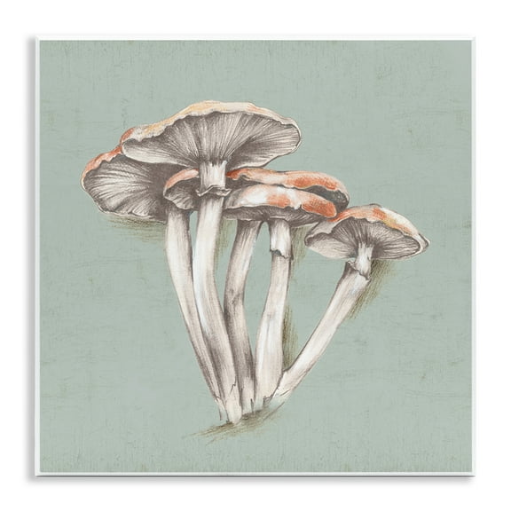 Stupell Industries Mushroom Bundle Drawing Plants & Flowers Painting Unframed Art Print Wall Art, 12 x 12