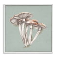 thumbnail image 1 of Stupell Industries Mushroom Bundle Drawing Plants & Flowers Painting White Framed Art Print Wall Art, 12 x 12, 1 of 2