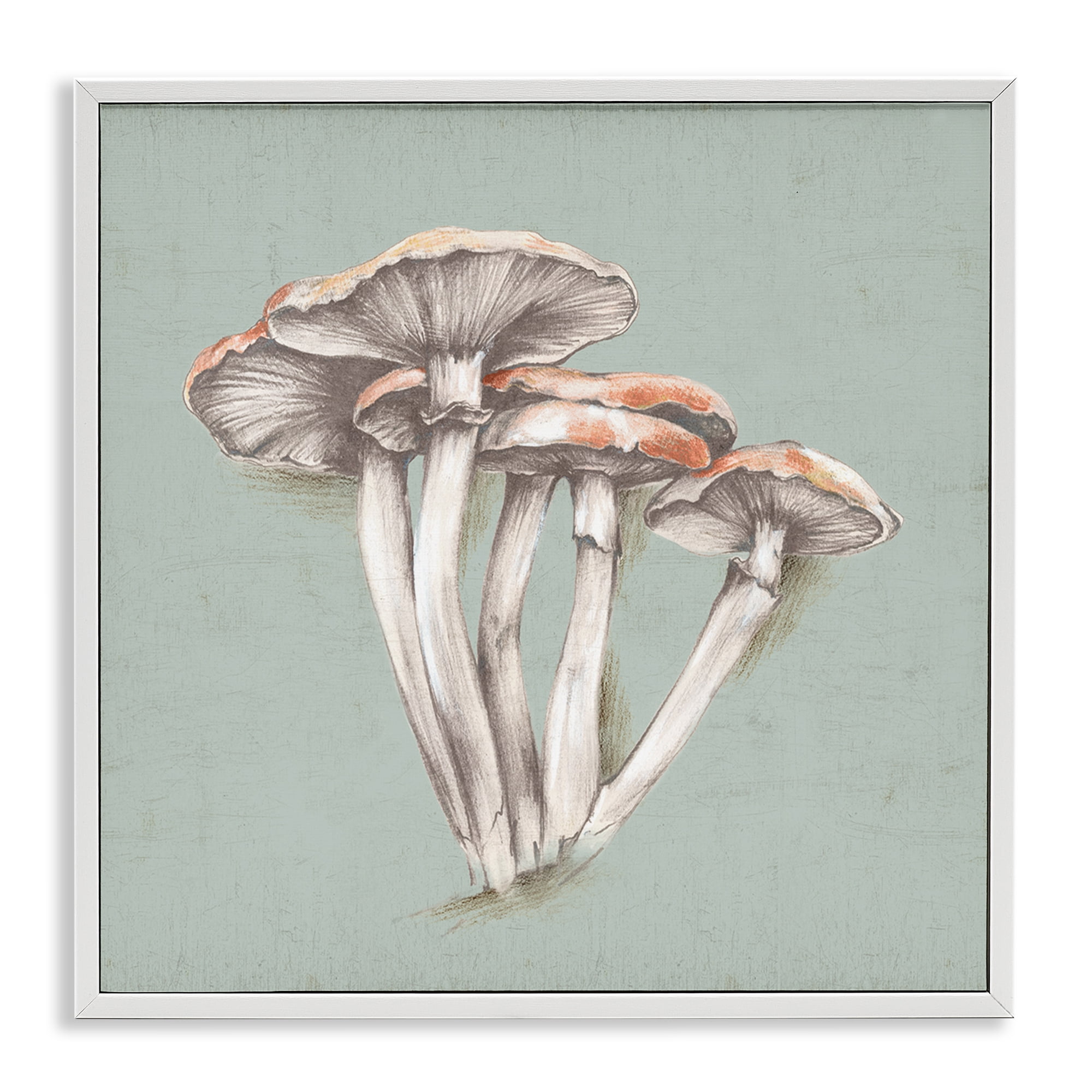 Stupell Industries Mushroom Bundle Drawing Plants & Flowers Painting White Framed Art Print Wall Art, 24 x 24