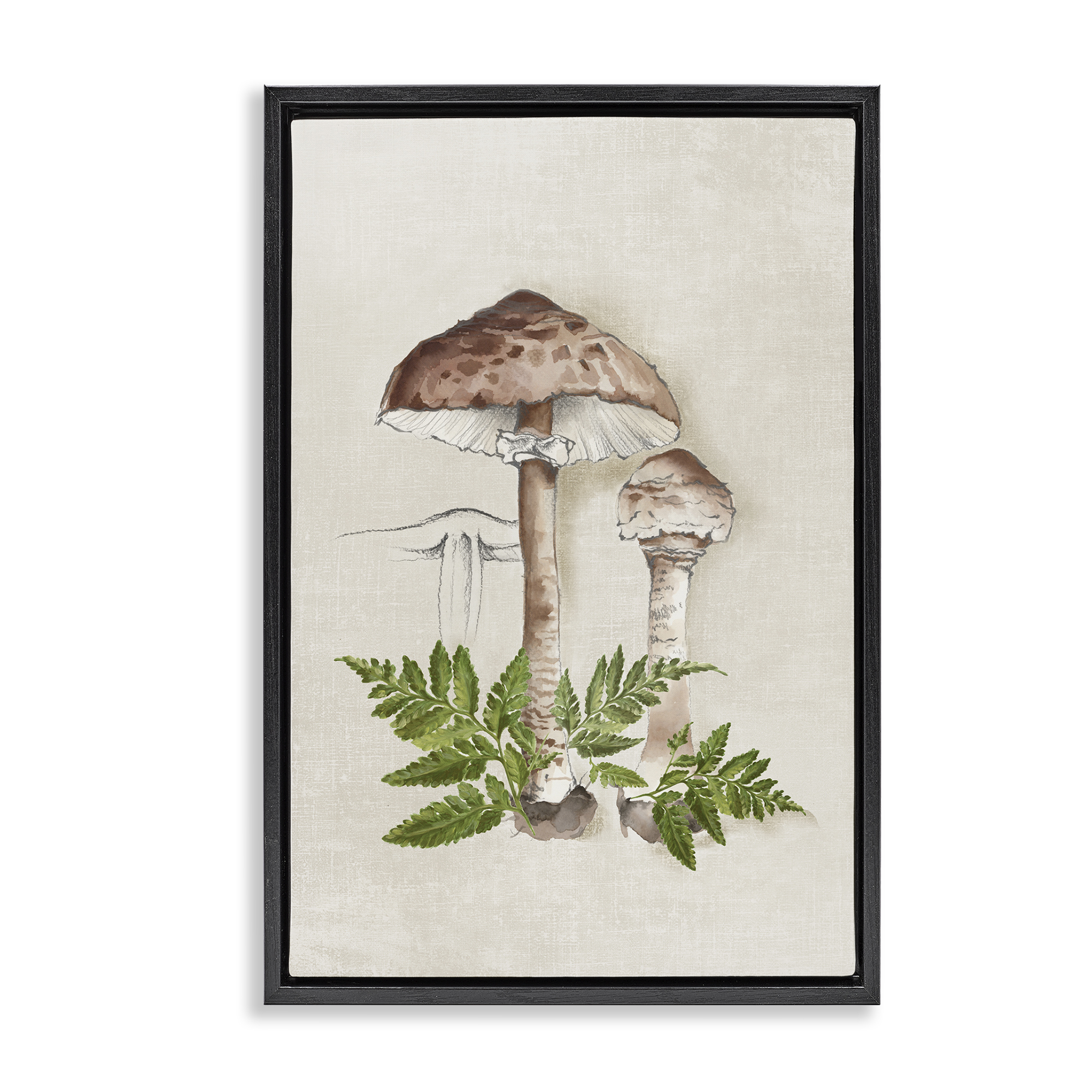 Stupell Industries Mushroom & Ferns Sketch Plants & Flowers Painting Black Floater Framed Canvas Art Print Wall Art, 17 x 25