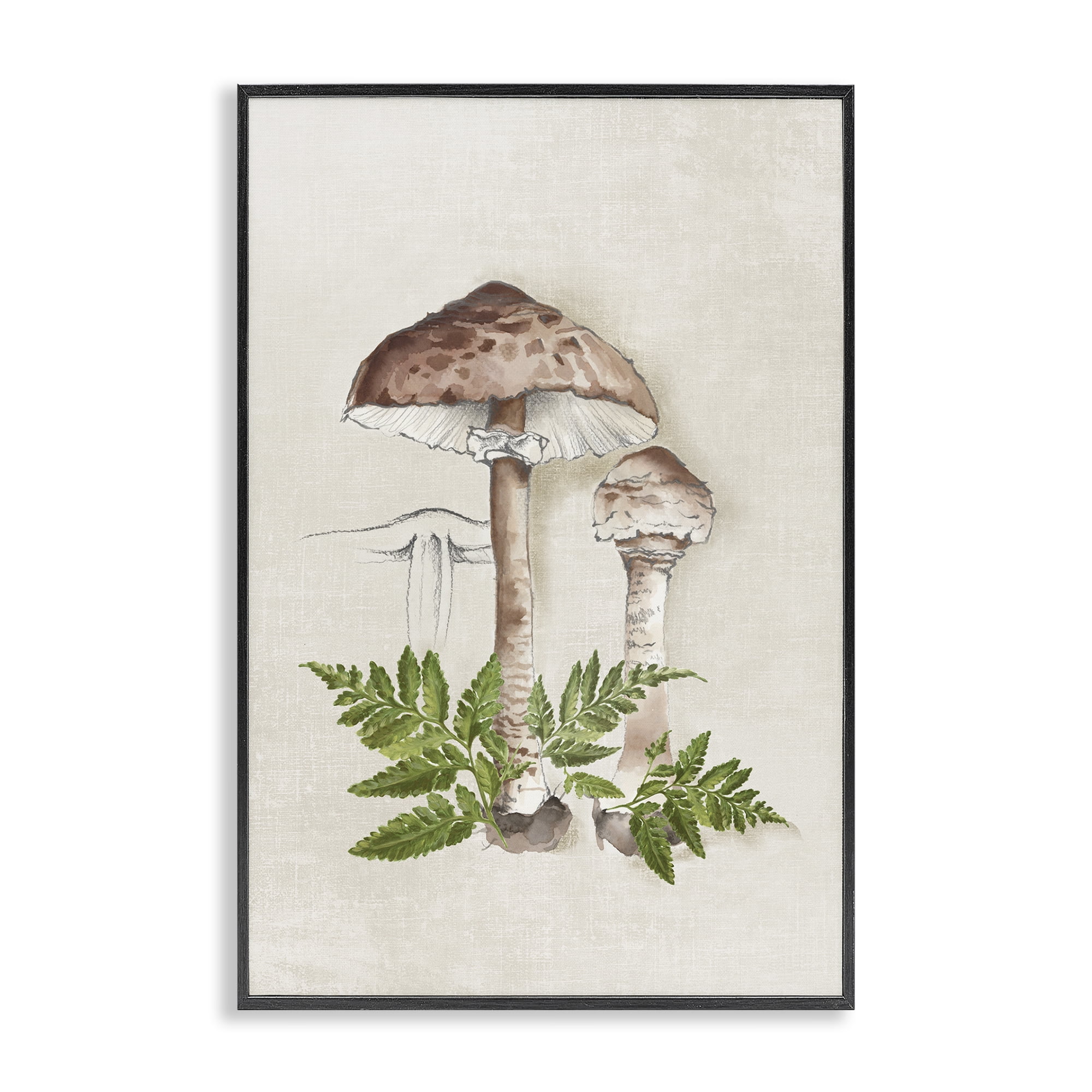 Stupell Industries Mushroom & Ferns Sketch Plants & Flowers Painting Black Framed Art Print Wall Art, 12 x 18