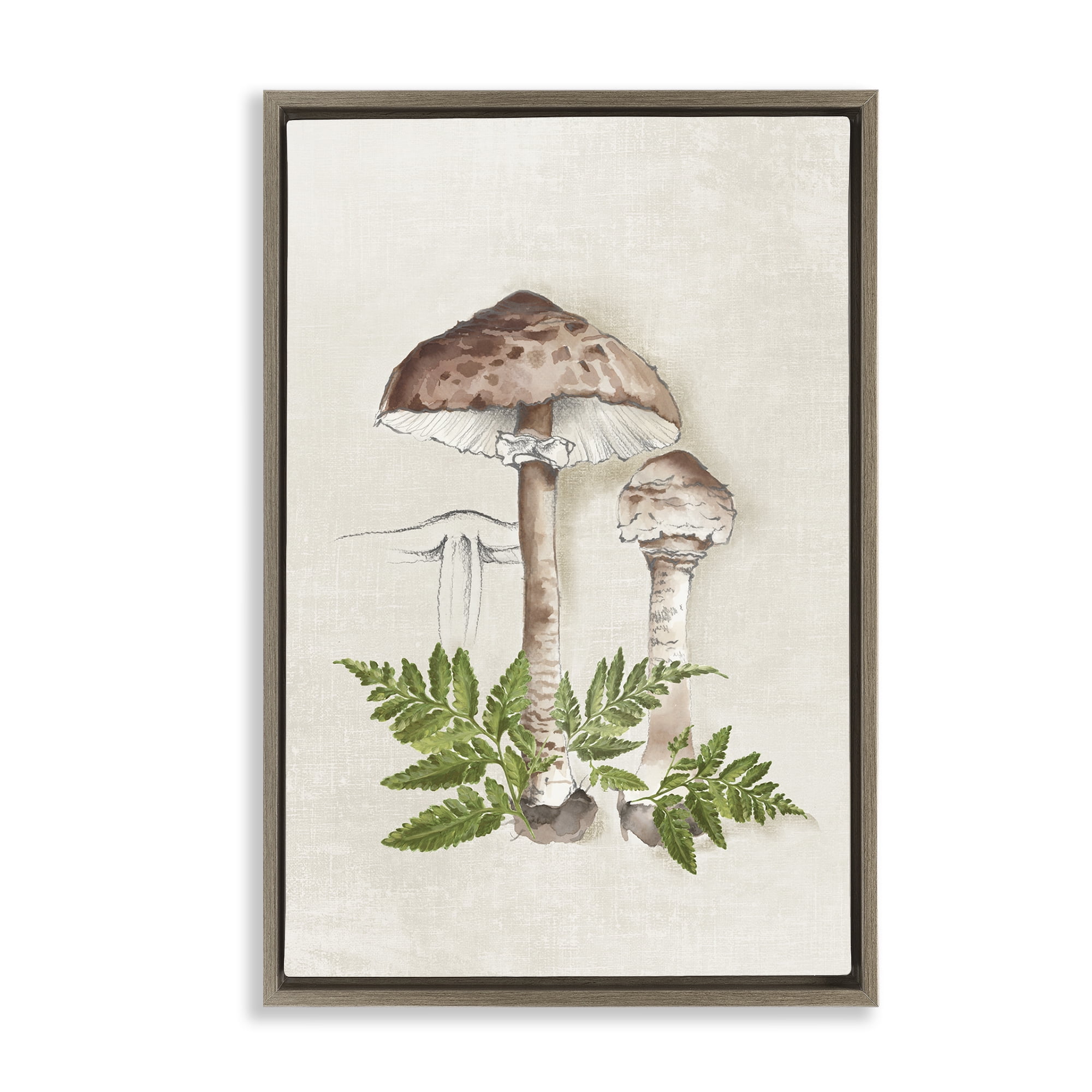 Stupell Industries Mushroom & Ferns Sketch Plants & Flowers Painting Brown Floater Framed Canvas Art Print Wall Art, 17 x 25