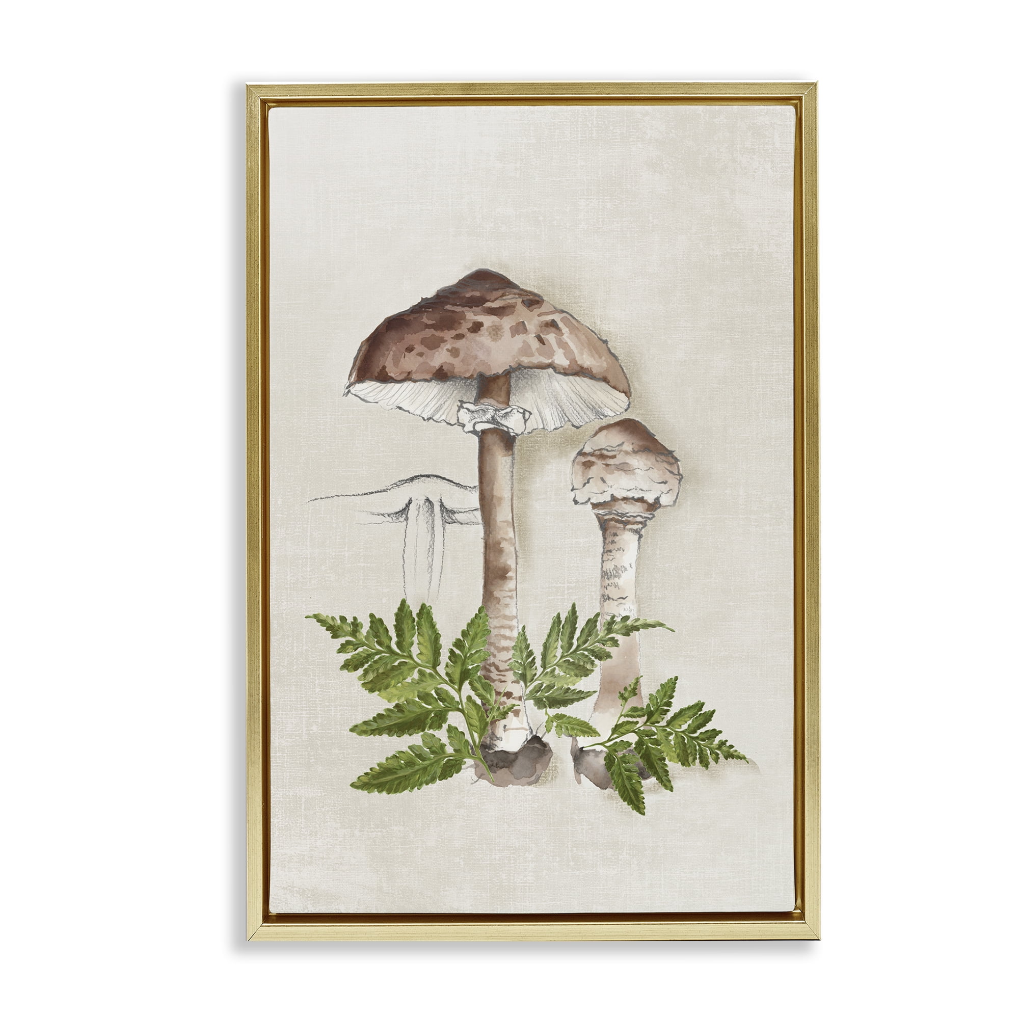 Stupell Industries Mushroom & Ferns Sketch Plants & Flowers Painting Gold Floater Framed Canvas Art Print Wall Art, 21 x 31