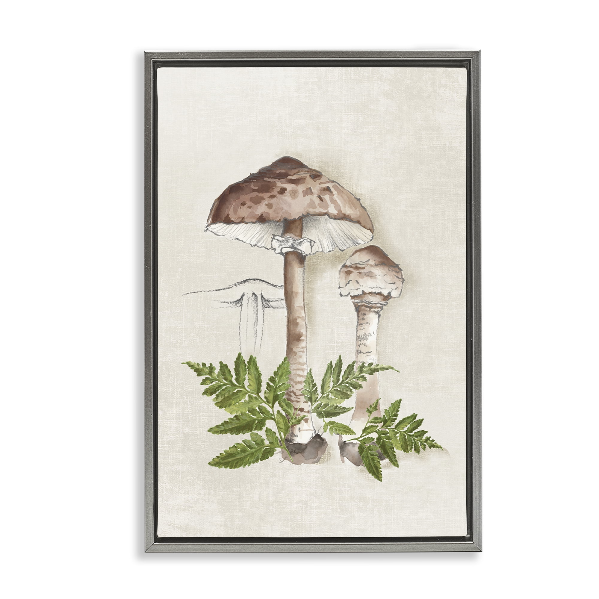 Stupell Industries Mushroom & Ferns Sketch Plants & Flowers Painting Gray Floater Framed Canvas Art Print Wall Art, 17 x 25