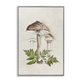 thumbnail image 1 of Stupell Industries Mushroom & Ferns Sketch Plants & Flowers Painting Gray Framed Art Print Wall Art, 16 x 24, 1 of 2