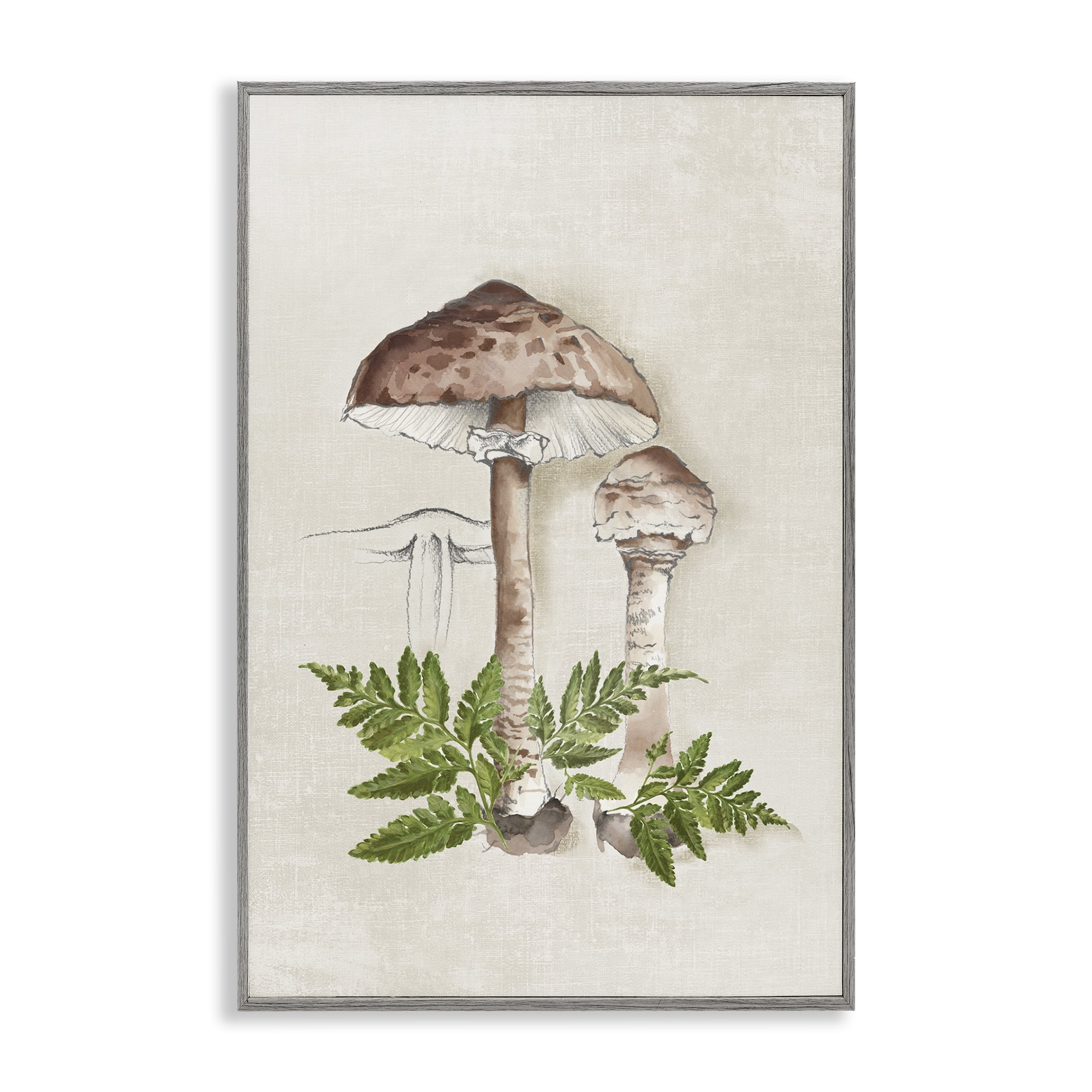 Stupell Industries Mushroom & Ferns Sketch Plants & Flowers Painting Gray Framed Art Print Wall Art, 20 x 30