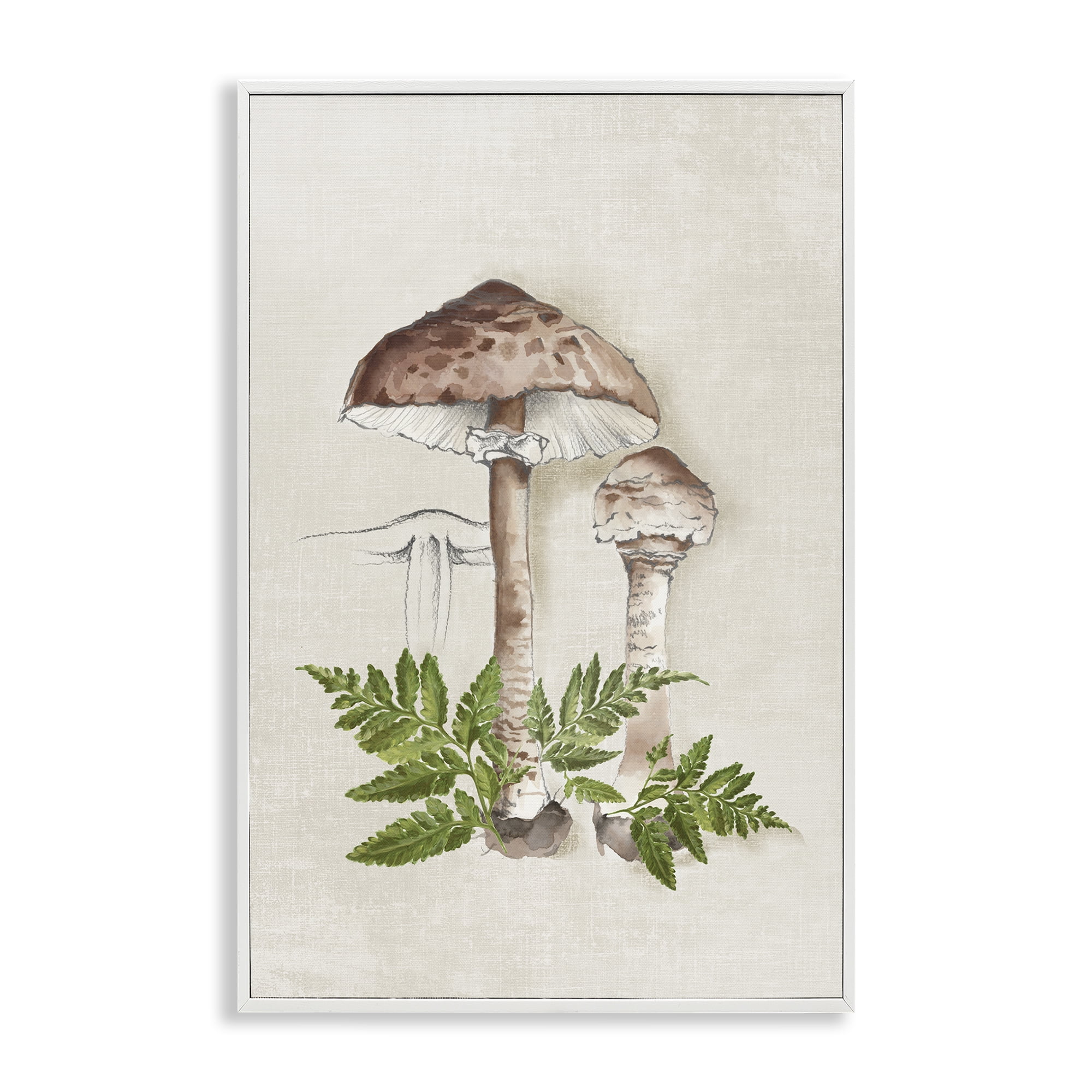 Stupell Industries Mushroom & Ferns Sketch Plants & Flowers Painting White Framed Art Print Wall Art, 20 x 30