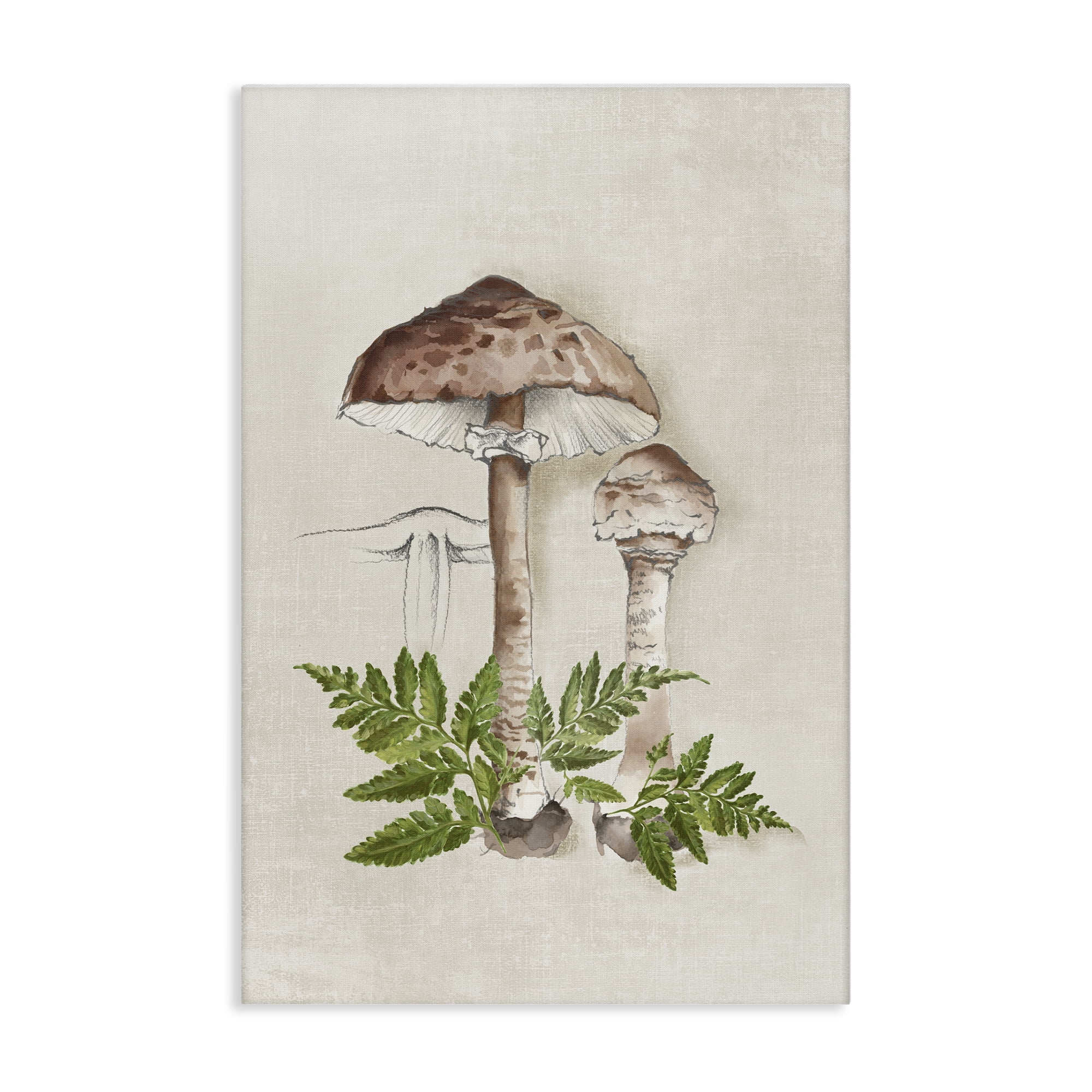 Stupell Industries Mushroom & Ferns Sketch Plants & Flowers Painting Wrapped Canvas Art Print Wall Art, 24 x 36