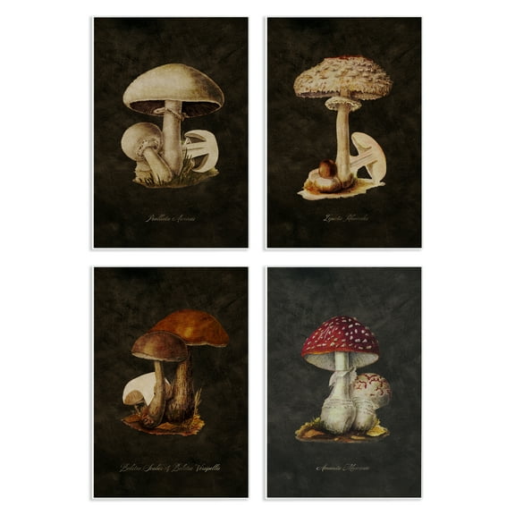 Stupell Industries Mushroom Genus Studies Plants & Flowers Painting Unframed Art Print Wall Art, 10 x 15, Set of 4