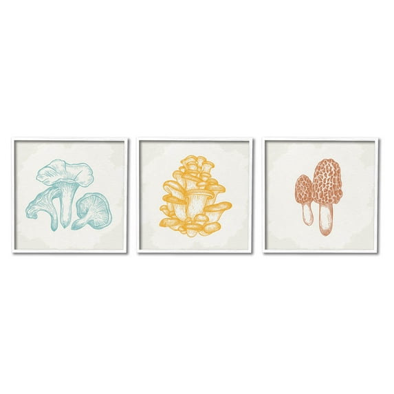 Stupell Industries Mushroom Love Woodland Sketch Graphic Art White Framed Art Print Wall Art, Set of 3, Design by Kim Allen