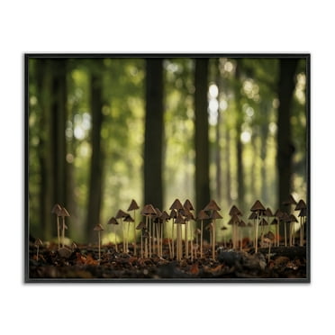 Stupell Industries Mushroom Sprouts in Forest Botanical & Floral Photography Black Framed Art Print Wall Art, 14 x 11
