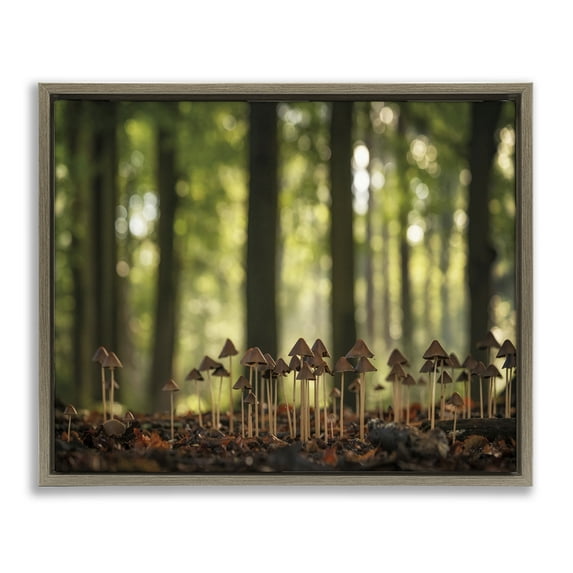 Stupell Industries Mushroom Sprouts in Forest Botanical & Floral Photography Brown Floater Framed Art Print Wall Art, 31 x 25