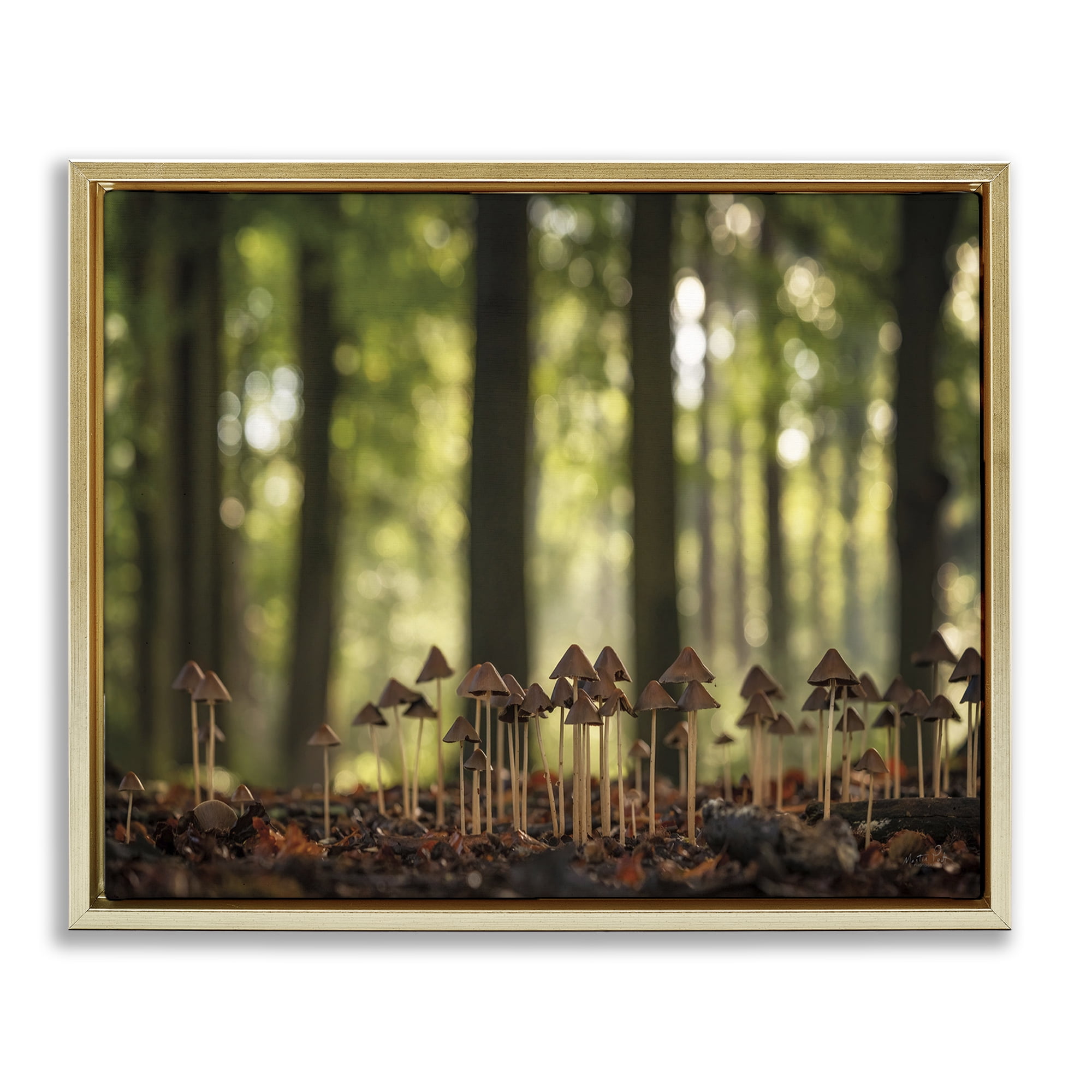 Stupell Industries Mushroom Sprouts in Forest Botanical & Floral Photography Gold Floater Framed Art Print Wall Art, 31 x 25
