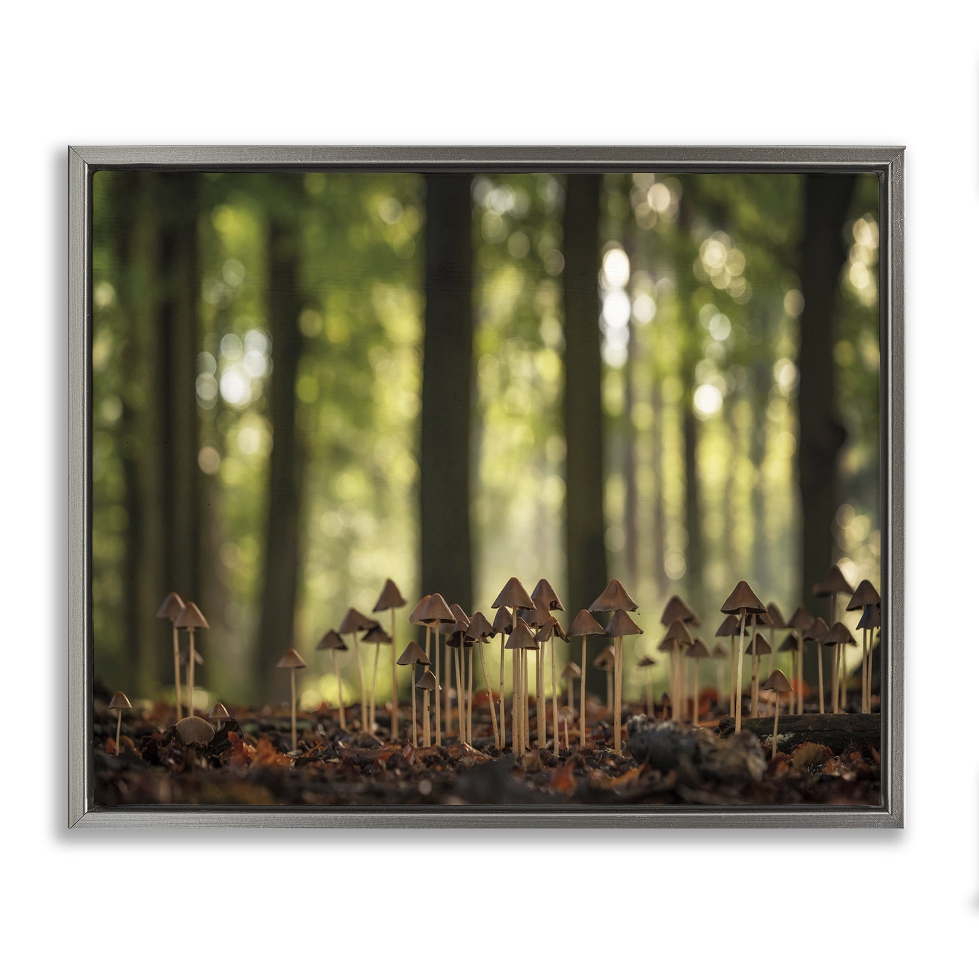 Stupell Industries Mushroom Sprouts in Forest Botanical & Floral Photography Gray Floater Framed Art Print Wall Art, 21 x 17