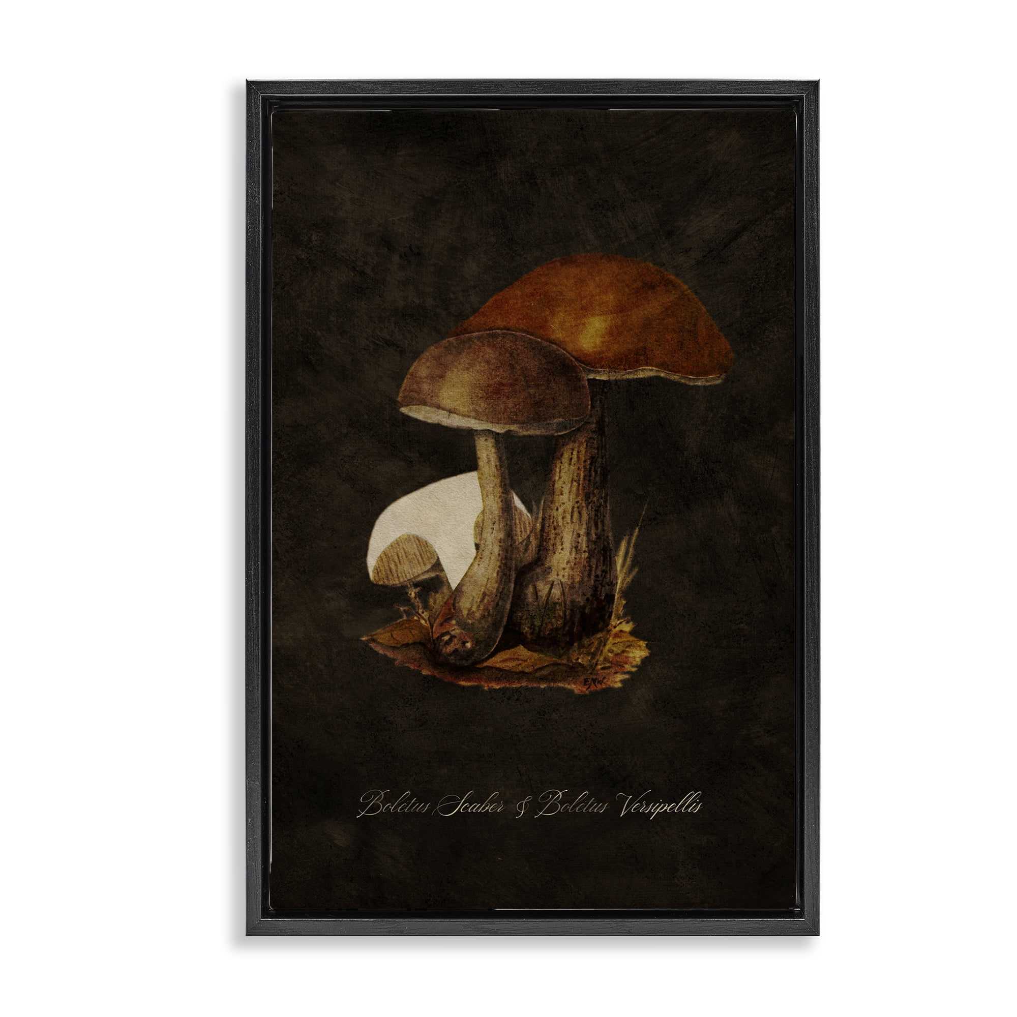 Stupell Industries Mushroom Types Study Plants & Flowers Painting Black Floater Framed Canvas Art Print Wall Art, 21 x 31