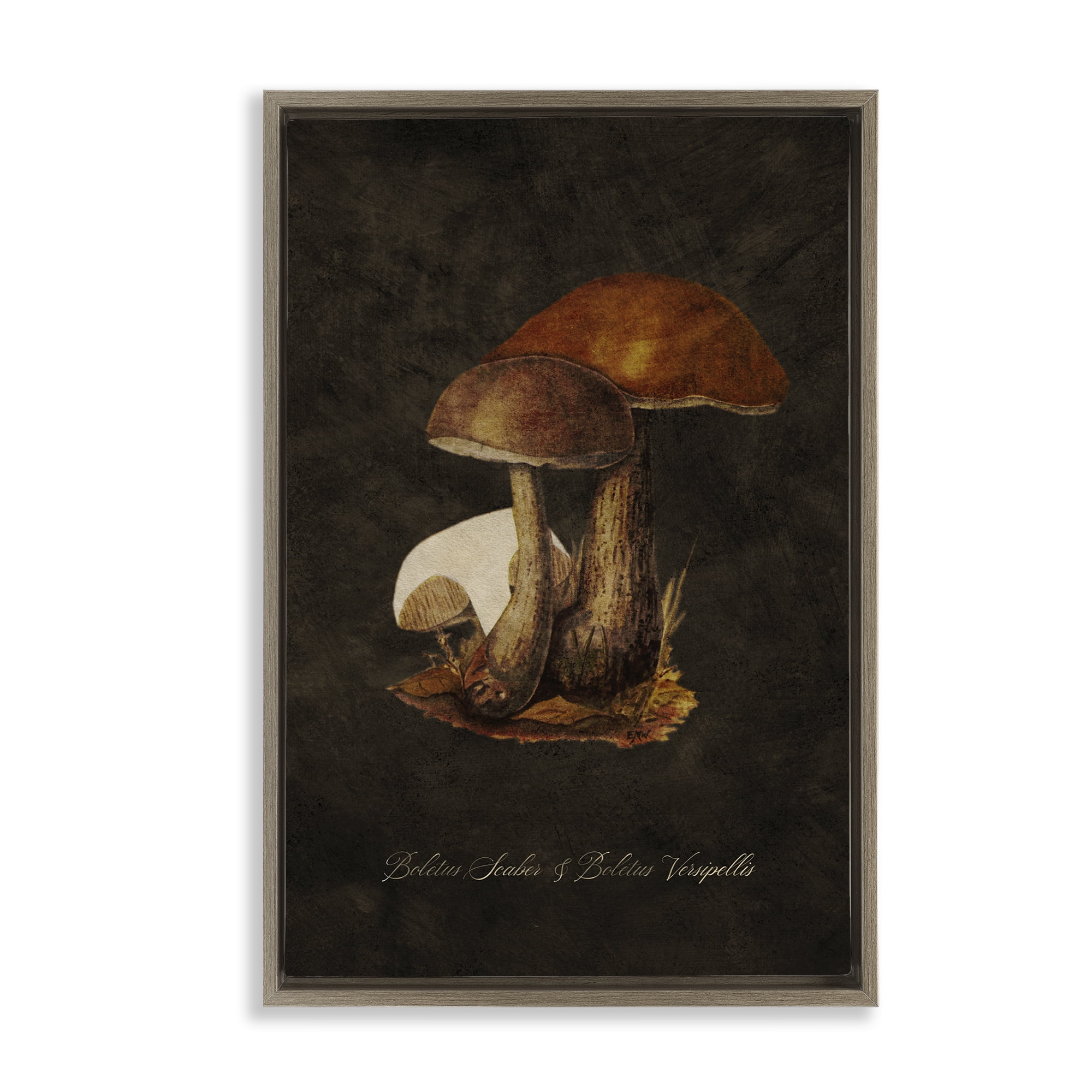 Stupell Industries Mushroom Types Study Plants & Flowers Painting Brown Floater Framed Canvas Art Print Wall Art, 21 x 31