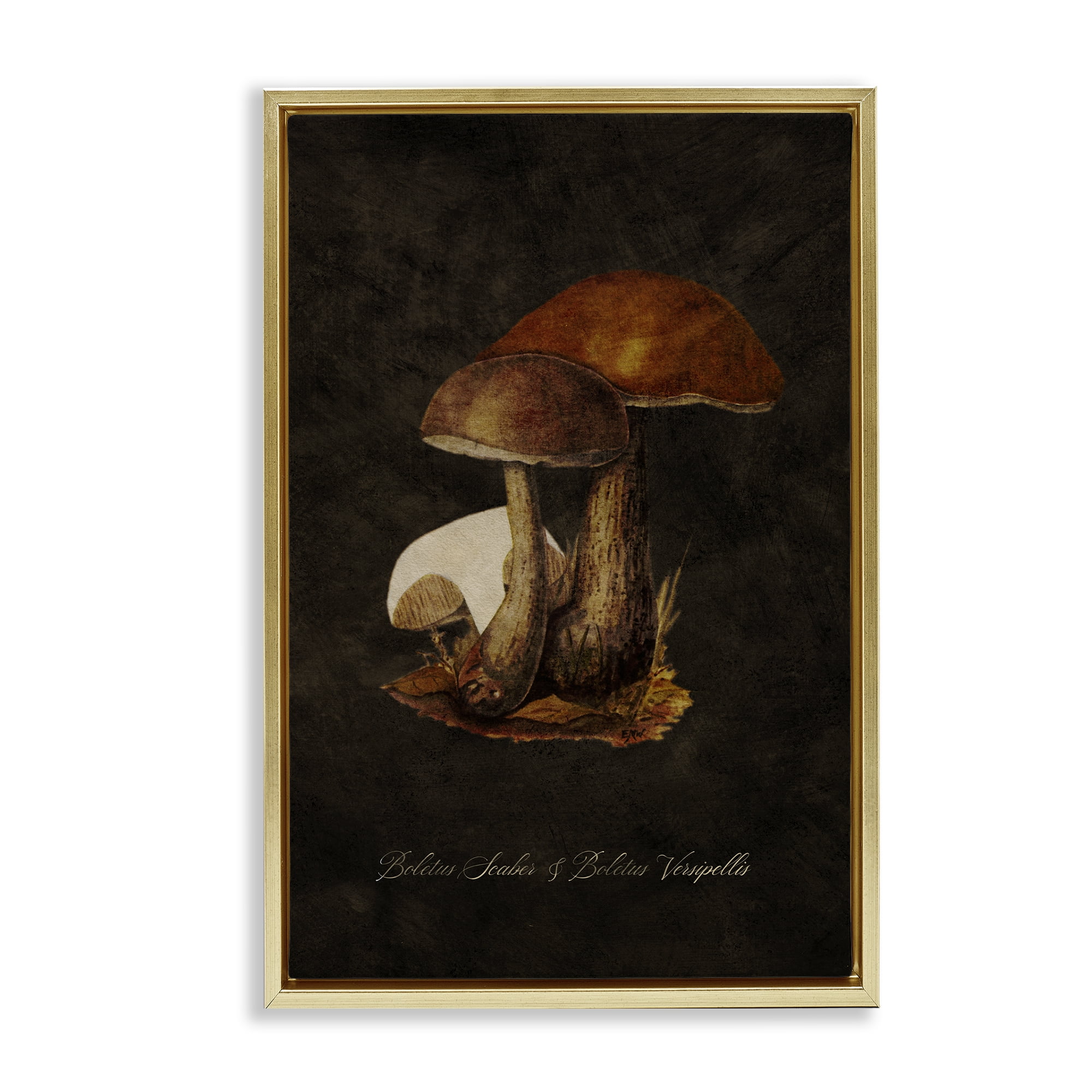 Stupell Industries Mushroom Types Study Plants & Flowers Painting Gold Floater Framed Canvas Art Print Wall Art, 17 x 25