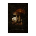 thumbnail image 1 of Stupell Industries French Country Canvas Art, 20 x 30, by Tina Higgins Designs Inc., 1 of 8