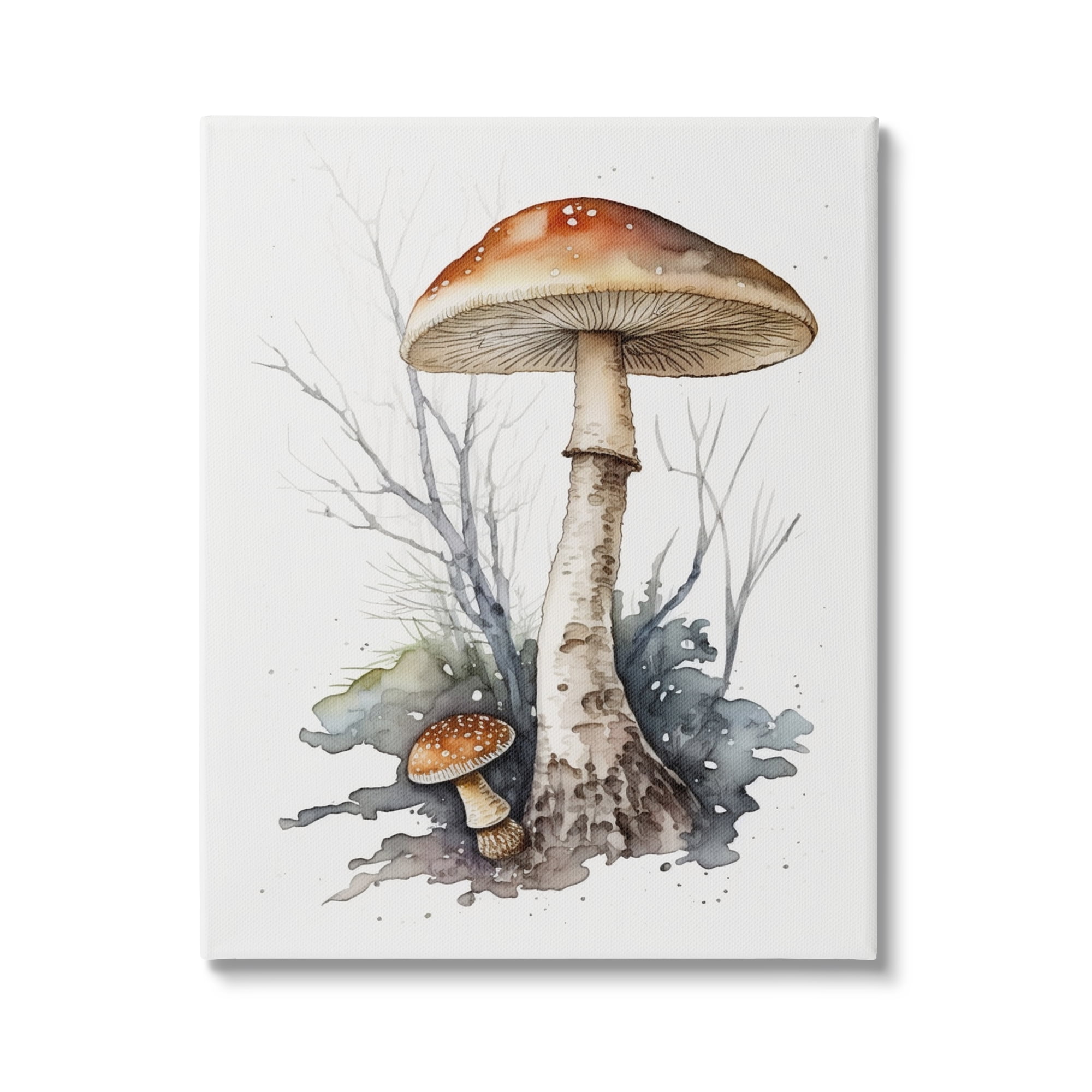 Stupell Industries Mushroom Watercolor Splash Botanical & Floral Painting Gallery Wrapped Canvas Art Print Wall Art, 36 x 48