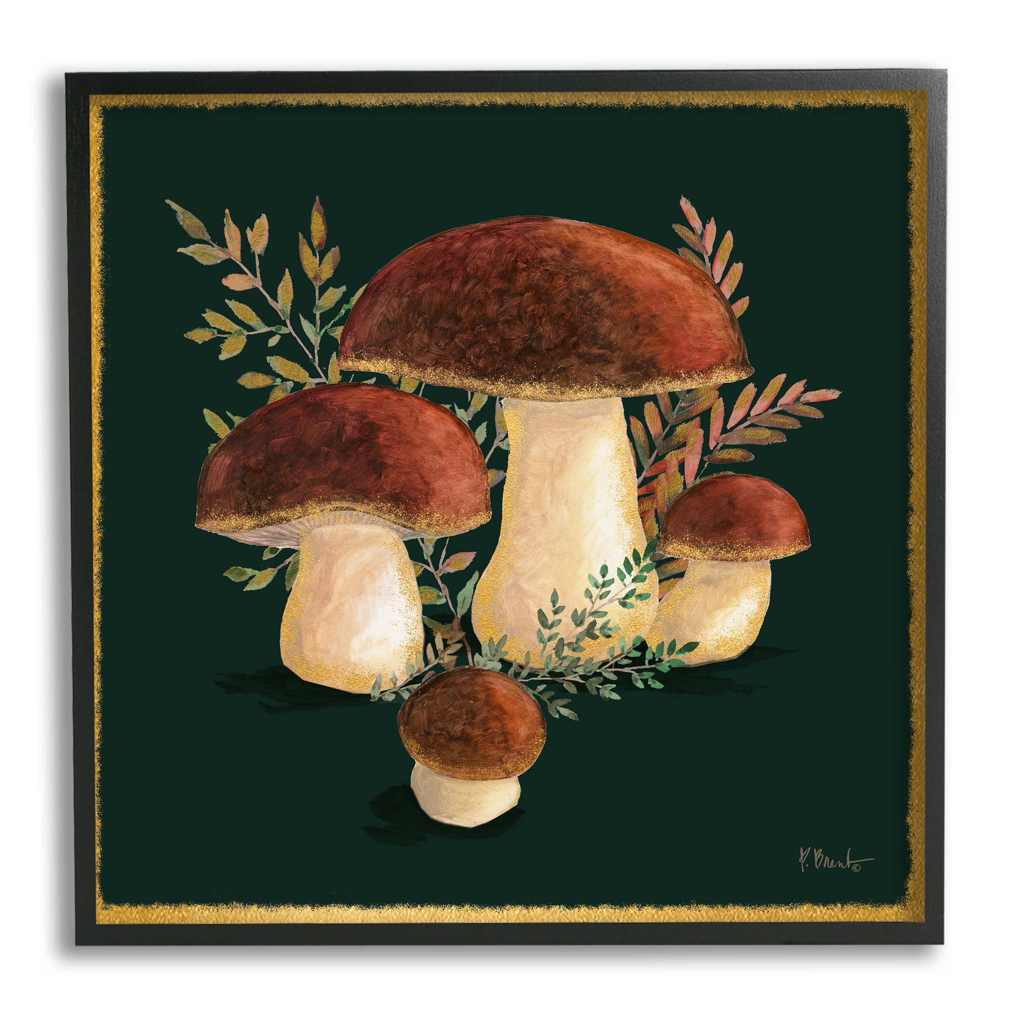 Stupell Industries Mushrooms on Black Botanical & Floral Painting Black Framed Art Print Wall Art, 24 x 24