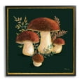 thumbnail image 1 of Stupell Industries Mushrooms on Black Botanical & Floral Painting Black Framed Art Print Wall Art, 24 x 24, 1 of 8