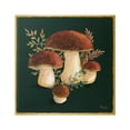 thumbnail image 1 of Stupell Industries Mushrooms on Black Botanical & Floral Painting Gallery Wrapped Canvas Print Wall Art, 24 x 24, 1 of 7
