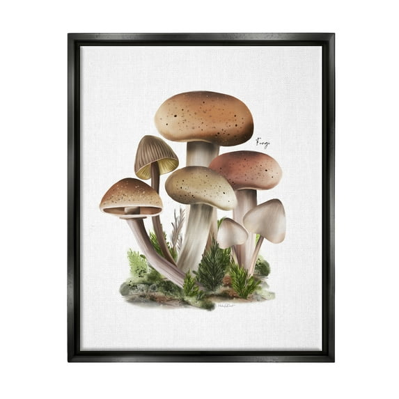 Stupell Industries Mushrooms on White Botanical & Floral Painting Black Floater Framed Canvas Art Print Wall Art, 17 x 21