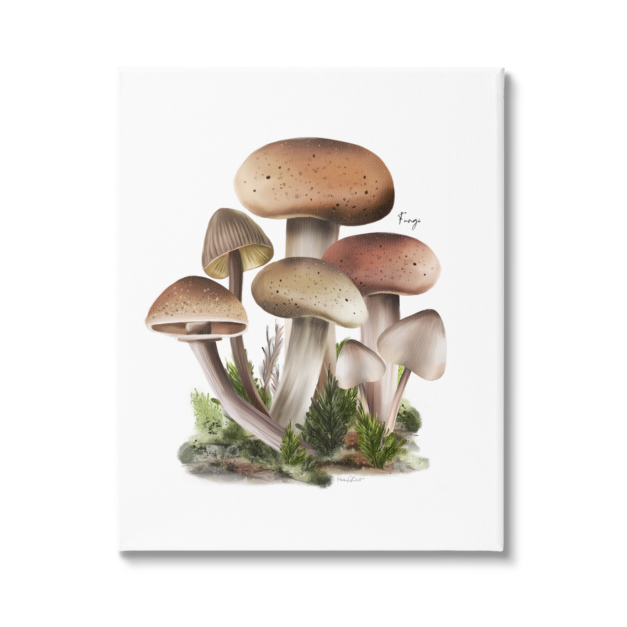 Stupell Industries Mushrooms on White Botanical & Floral Painting Gallery Wrapped Canvas Art Print Wall Art, 16 x 20