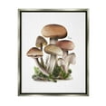 thumbnail image 1 of Stupell Industries Mushrooms on White Botanical & Floral Painting Gray Floater Framed Canvas Art Print Wall Art, 17 x 21, 1 of 10