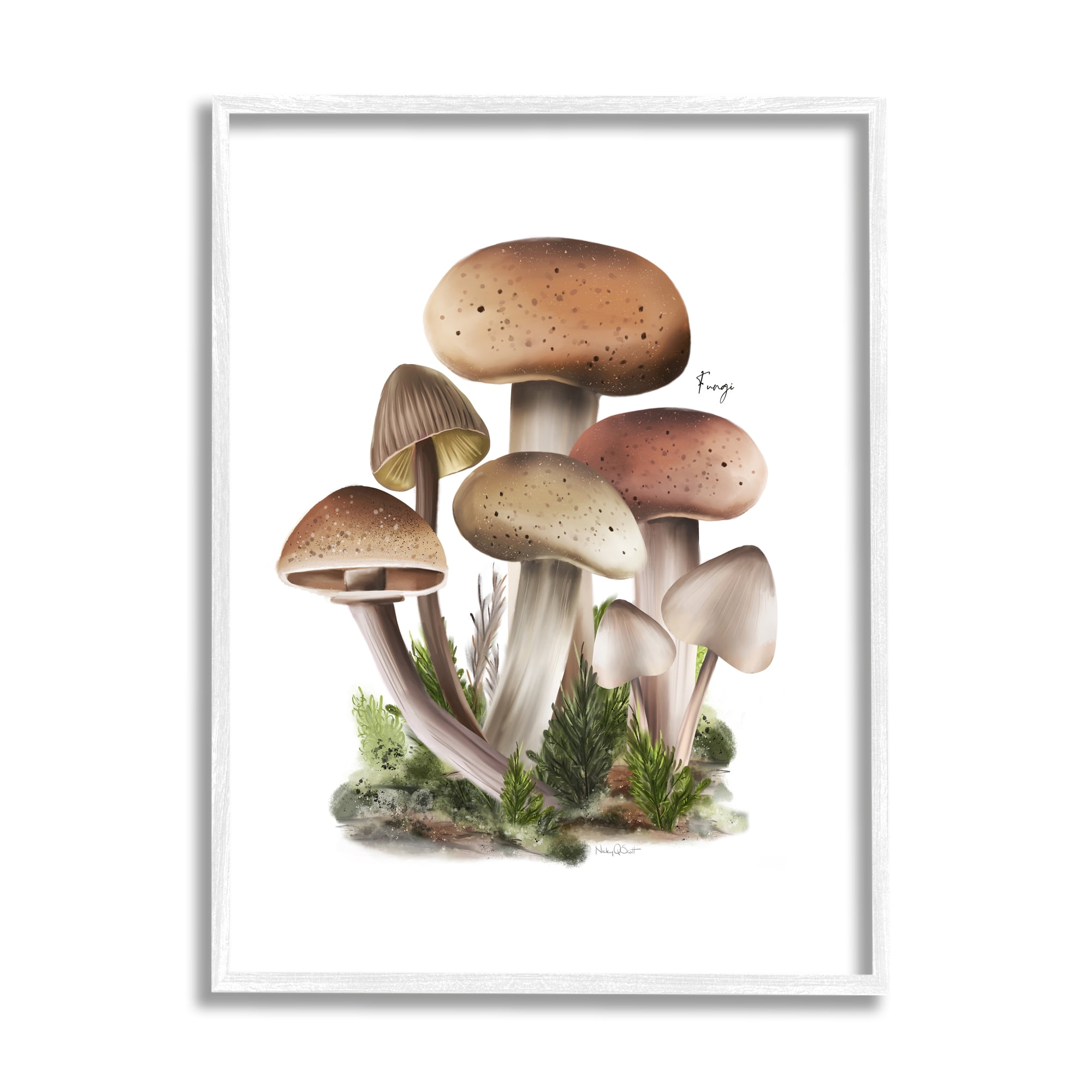 Stupell Industries Mushrooms on White Botanical & Floral Painting White Framed Art Print Wall Art, 24 x 30