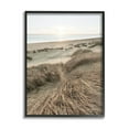 thumbnail image 1 of Stupell Industries Muted Beach Sunrise Tall Grass Soft Sand Dunes, 11 x 14,Design by Alan Majchrowicz, 1 of 5