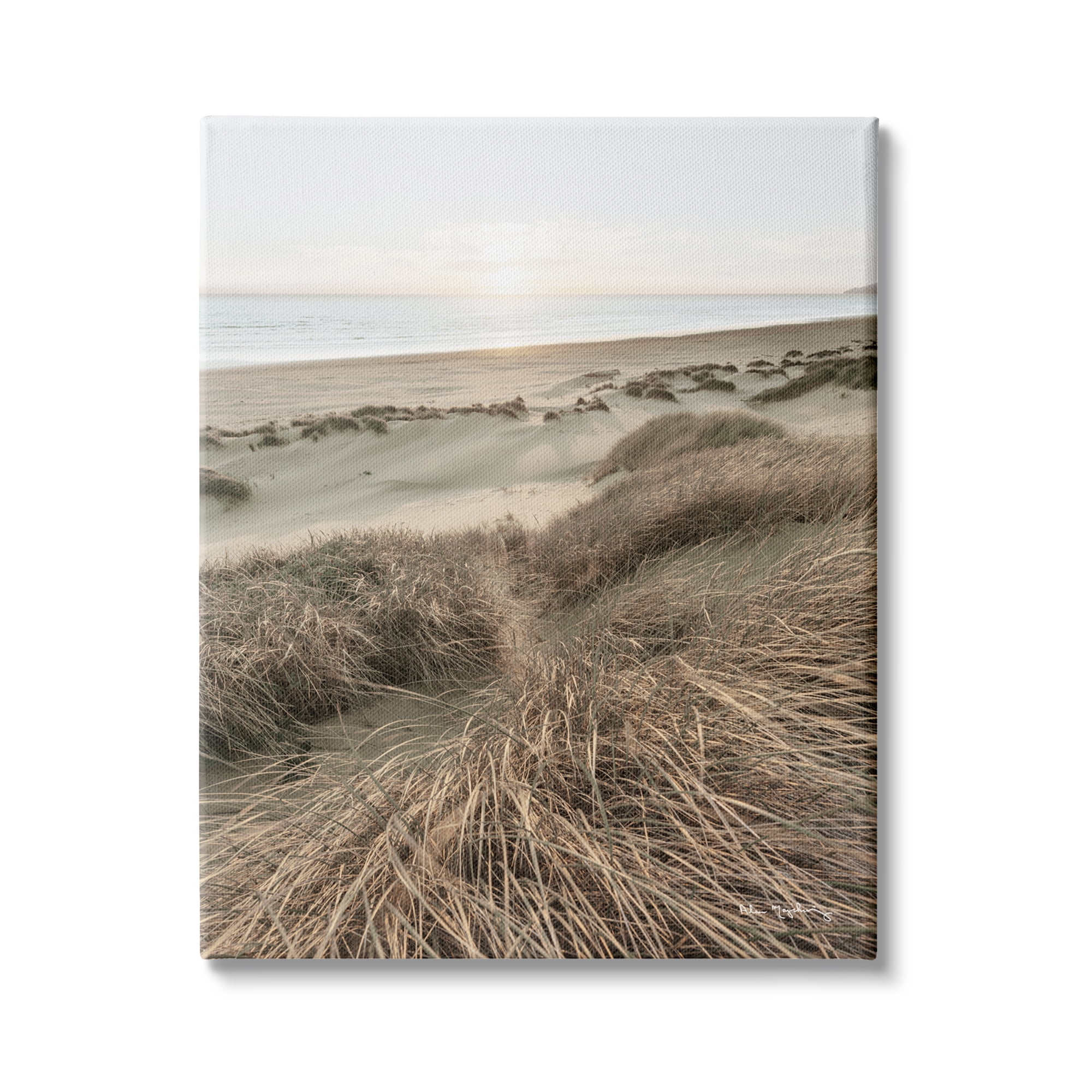 Stupell Industries Muted Beach Sunrise Tall Grass Soft Sand Dunes, 36 x 48,Design by Alan Majchrowicz