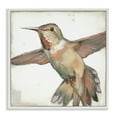 thumbnail image 1 of Stupell Industries Muted Hummingbird Portrait Animals Painting White Framed Art Print Wall Art, 24 x 24, 1 of 9