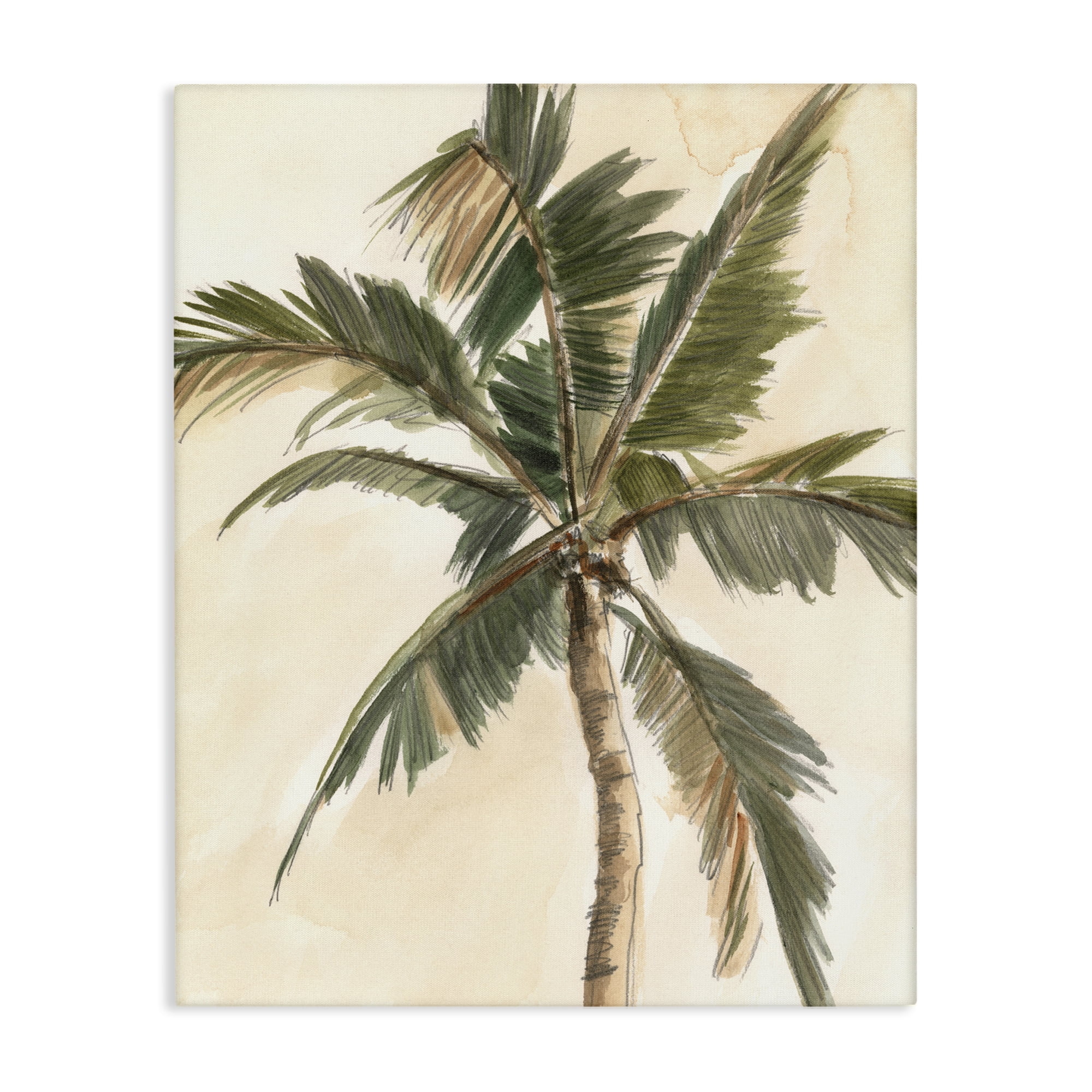 Stupell Industries Muted Palm Tree Plants & Flowers Painting Wrapped Canvas Art Print Wall Art, 36 x 48
