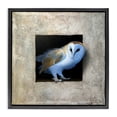 thumbnail image 1 of Stupell Industries Traditional Mysterious Barn Owl Peering Black Floating Frame Canvas Art, 18 x 18, by Alan Weston, 1 of 7