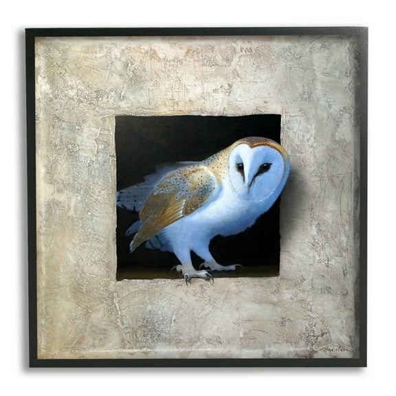 Stupell Industries Mysterious Barn Owl Peering From Darkness Painting Painting Black Framed Art Print Wall Art, Design by Alan Weston