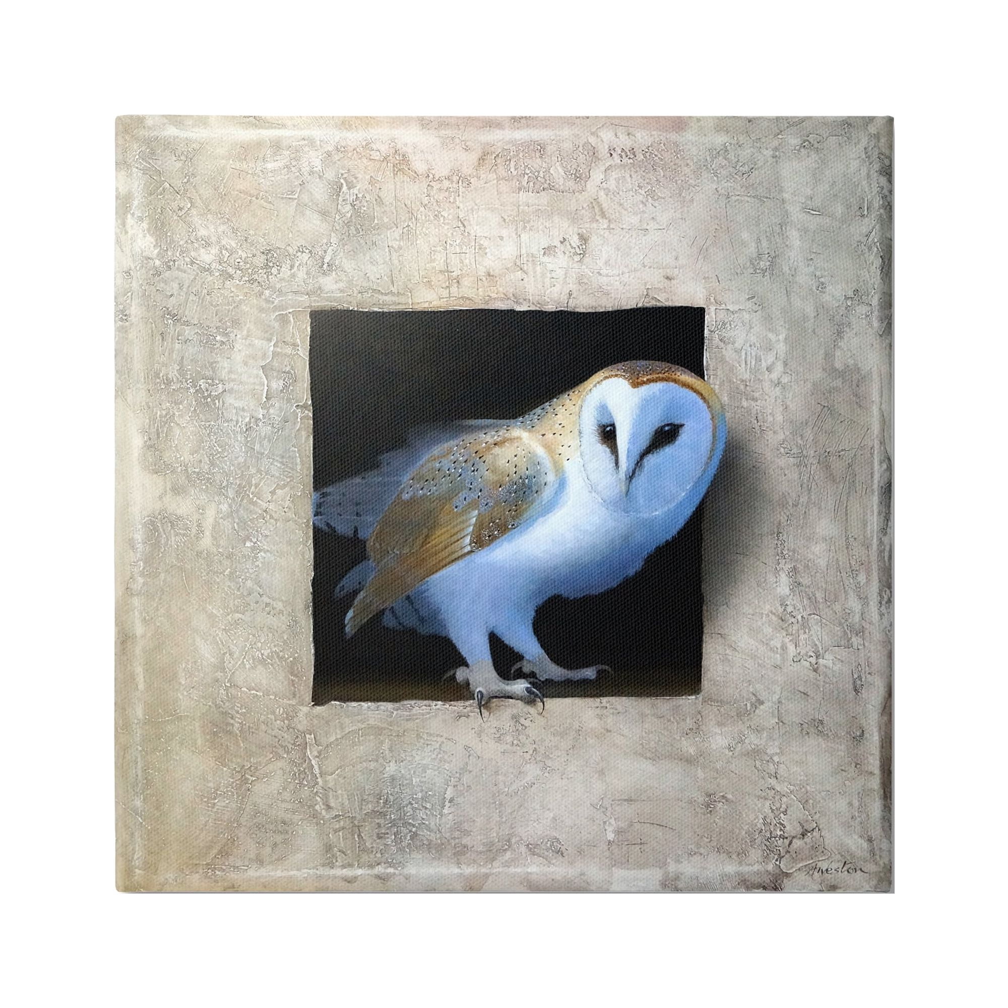 Stupell Industries Mysterious Barn Owl Peering From Darkness Painting Painting Gallery Wrapped Canvas Print Wall Art, Design by Alan Weston
