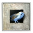 thumbnail image 1 of Stupell Industries Mysterious Barn Owl Peering From Darkness Painting Painting Gray Framed Art Print Wall Art, Design by Alan Weston, 1 of 8