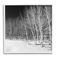 thumbnail image 1 of Stupell Industries Mysterious Snowy Forest Looming Nighttime Birch Trees Photograph White Framed Art Print Wall Art, Design by Steve Smith, 1 of 5