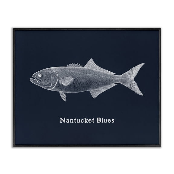 Stupell Industries Nantucket Blues Fish Animals Painting Black Framed Art Print Wall Art, 14 x 11