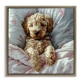 thumbnail image 1 of Stupell Industries Cottage Nap Time Cuddling Labradoodle Brown Floating Frame Canvas Art, 18 x 18, by Jim Baldwin, 1 of 8