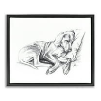 Stupell Industries Napping Dog Drawing Animals Drawing Black Floater Framed Canvas Art Print Wall Art, 21 x 17