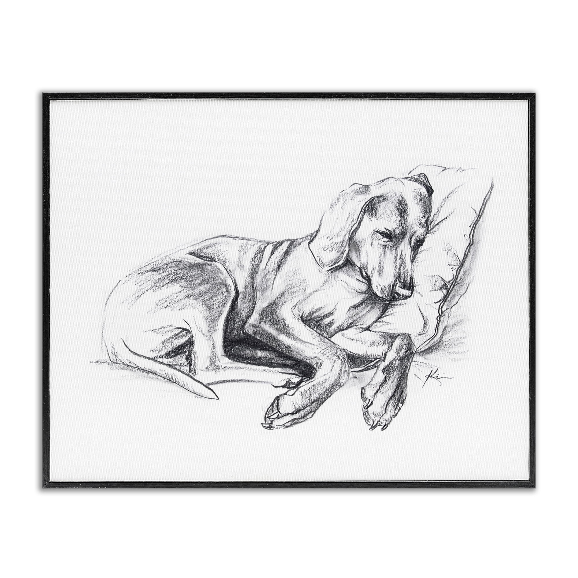 Stupell Industries Napping Dog Drawing Animals Drawing Black Framed Art Print Wall Art, 20 x 16
