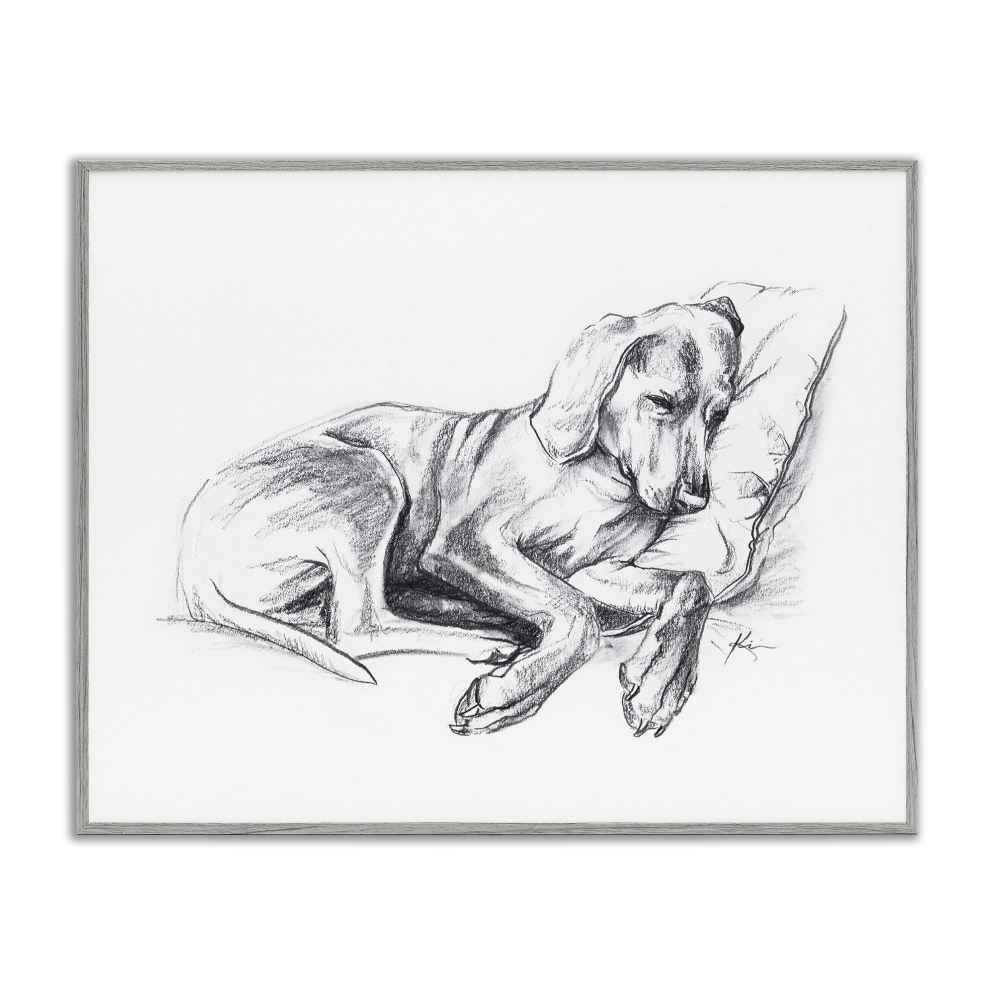 Stupell Industries Napping Dog Drawing Animals Drawing Gray Framed Art Print Wall Art, 30 x 24