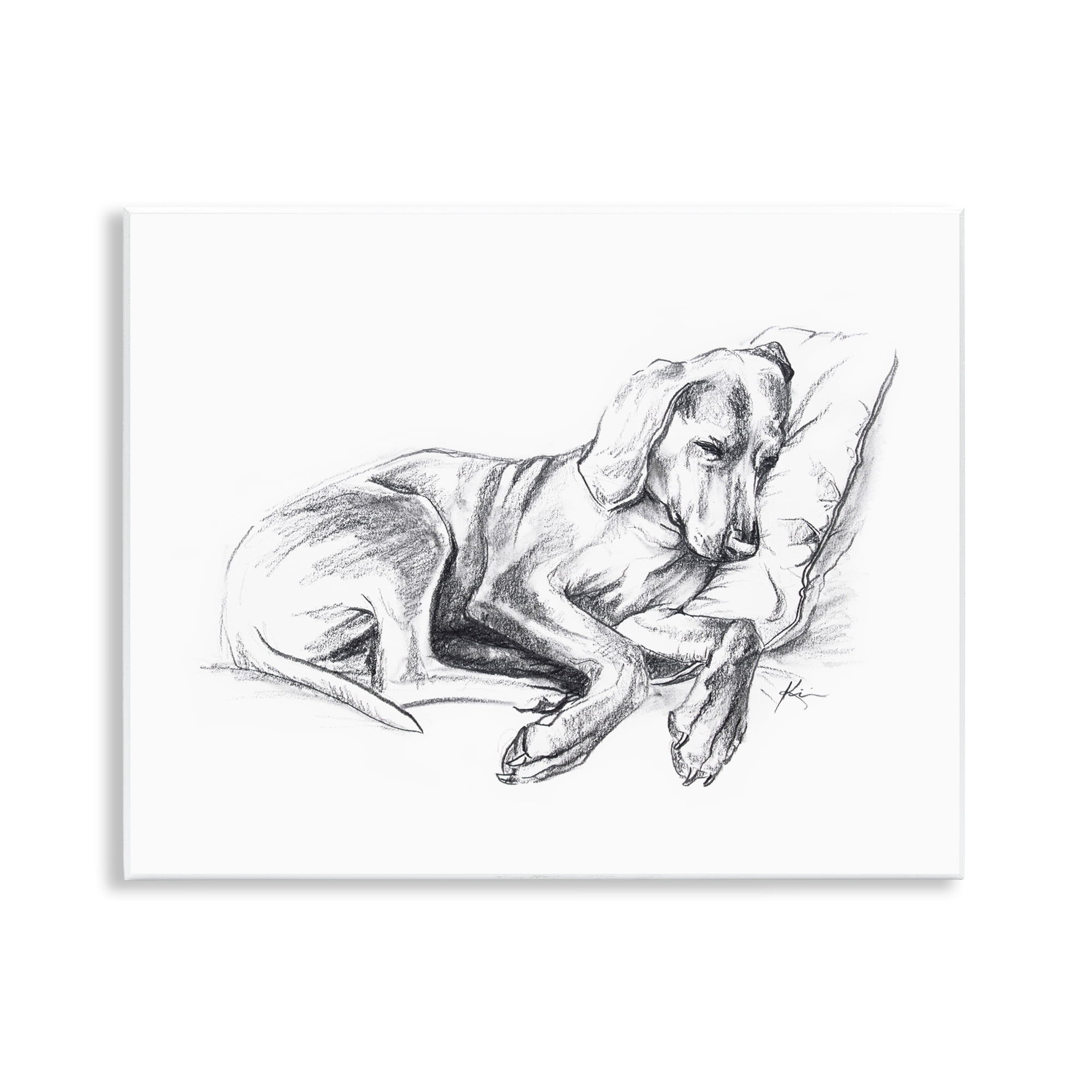 Stupell Industries Napping Dog Drawing Animals Drawing Unframed Art Print Wall Art, 14 x 11
