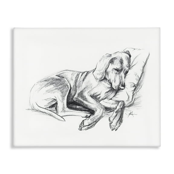 Stupell Industries Napping Dog Drawing Animals Drawing Wrapped Canvas Art Print Wall Art, 20 x 16