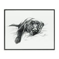 thumbnail image 1 of Stupell Industries Eclectic Naptime Black Labrador Black Framed Giclee Art, 14 x 11, by Lindsay Kivi Fine Art, 1 of 8