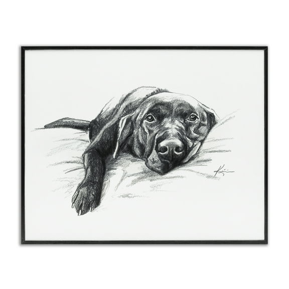 Stupell Industries Naptime Black Labrador Animals Drawing Black Framed Art Print Wall Art, 14 x 11